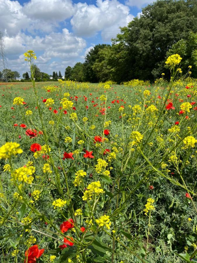 Acero Giallo Парма Экстерьер фото