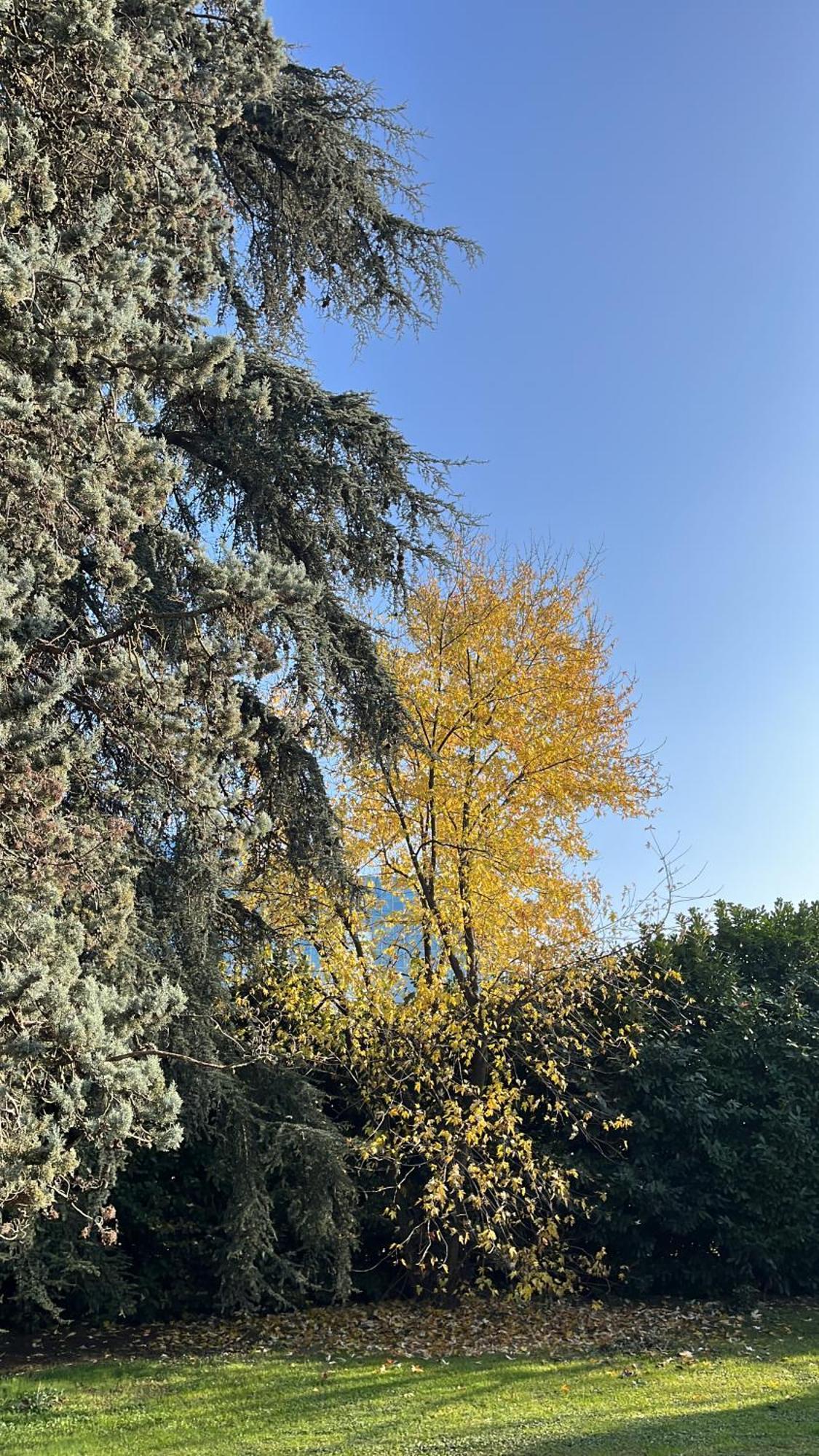 Acero Giallo Парма Экстерьер фото